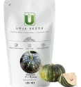 pumpkin seeds of Urja Agriculture Company of Urja Agriculture Company