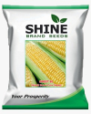 Sweet Corn Sweet 80 - Shine Brand Seeds, Makka Ke Beej, Field Crops, Excellent Germination Quality