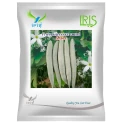 Iris SARA F1 Hybrid Snake Gourd Seeds, High Yield Vigorous Vine, Light Green with White Stripes