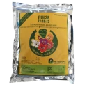 Biowall PLUSE Npk 13:40:13 Fertilizer, Water Soluble, Efficient Micronutrients, Root Growth And Flowering