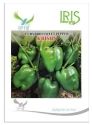 Iris Hybrid Vegetable Seeds F1 Capsicum Green Capsicum Krishn, Thick Flesh, Vigorous Plant.