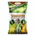 Katyayani Vasishta Thiamethoxam 1% + Chlorantraniliprole 0.5% GR, Advanced Chemical Insecticide Granules For Effective Pest Management