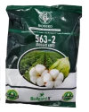 Bioseed 6001 (563-2) Cotton Seeds, High Yield Potential, Pest Resistance, And Superior Fiber Quality.