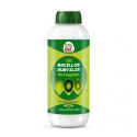 EBS Bacillus Subtilis Bio Fungicide, Control Downy Mildew, Powdery Mildew And Bacterial Diseases For Plants And Home Garden