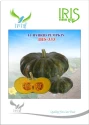 pumpkin seeds of Iris Hybrid Pvt. of Iris Hybrid Pvt.