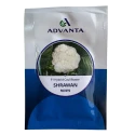 Advanta SHRAWAN F1 Hybrid Cauliflower Seeds, High Yield Variety For All Seasons
