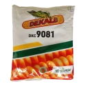 Bayer DEKALB 9081 Hybrid Maize Seeds, Rabi Season Variety For All Regions