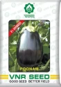 Brinjal Hybrid Seeds of VNR Seeds Pvt. of VNR Seeds Pvt.