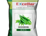 Excellar EX 99 F1 Hot Pepper Seeds, High Yielding, High Pungency and Fast Maturity