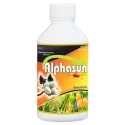 BIOSUN Alphasun Alphacypermethrin 10% EC Insecticide, Broad Spectrum, Effective For Cotton, Paddy, Sugarcane And Mango
