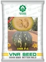 pumpkin seeds of VNR Seeds Pvt. of VNR Seeds Pvt.