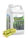 Amruth Sugarcane Grow Sugarcane Microbial Consortia (SMC), Sugarcane Special, For Plant Growth and Development