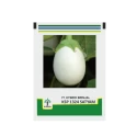 Brinjal Hybrid Seeds of Kalash Seeds Pvt. of Kalash Seeds Pvt.