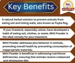 PASHU SVASTH MITTI POWDER, Natural Herbs For Preventing Soil Eating (PAYKA AND PICA) In Animals