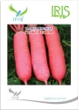 Radish Hybrid Seeds of Iris Hybrid Pvt. of Iris Hybrid Pvt.