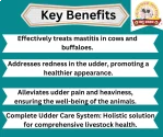 PASHU SVASTH THUN SAFE POWDER, Animal Health Supplements, Natural Mastitis & Udder Care Herbal Remedy For Dairy Animals
