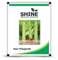 Shine Apsara F1 Hybrid Bottle Gourd Seeds, Shine Brand Seeds, Lauki Ka Beej, Vegetable Seeds