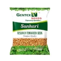 जेंटेक्स सुनहरी रिसर्च मेथी के बीज, उच्च उपज देने वाली और मध्यम बोल्डिंग किस्म।