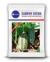 Sarpan Hybrid Cucumber Gulgai-99, Very High-Yielding, Excellent Shelf Life 