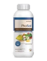Phosphate Solubilizing Bacteria of Rajshree Biosolutions LLP of Rajshree Biosolutions LLP